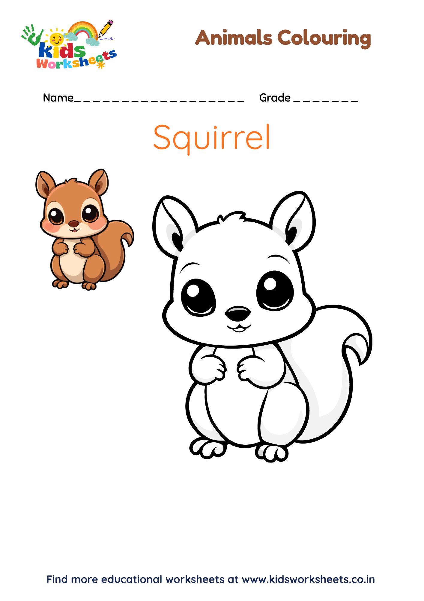 Animal Coloring - Squirrel preview