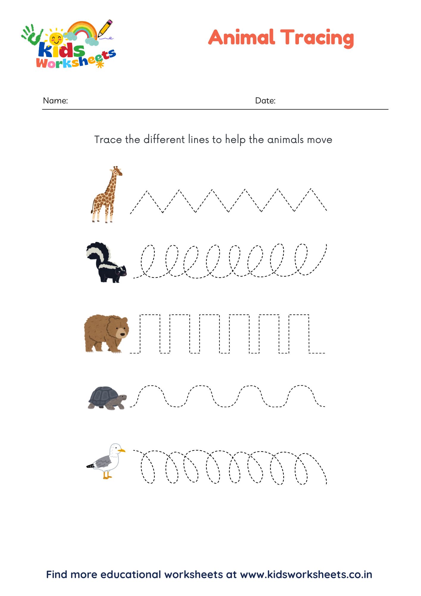 Animal Tracing Lines Worksheet preview